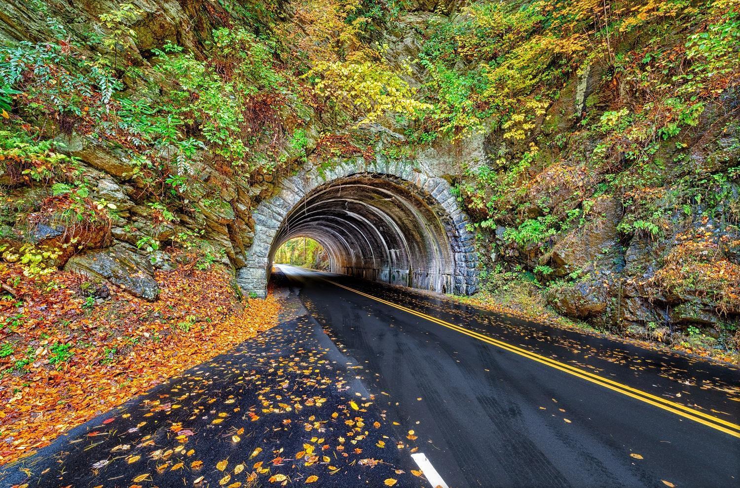 Her Majesty'S Way, Awesome Mtn Views, 1089 Free Tickets Each Paid Day, Dollywood And More Gatlinburg Εξωτερικό φωτογραφία